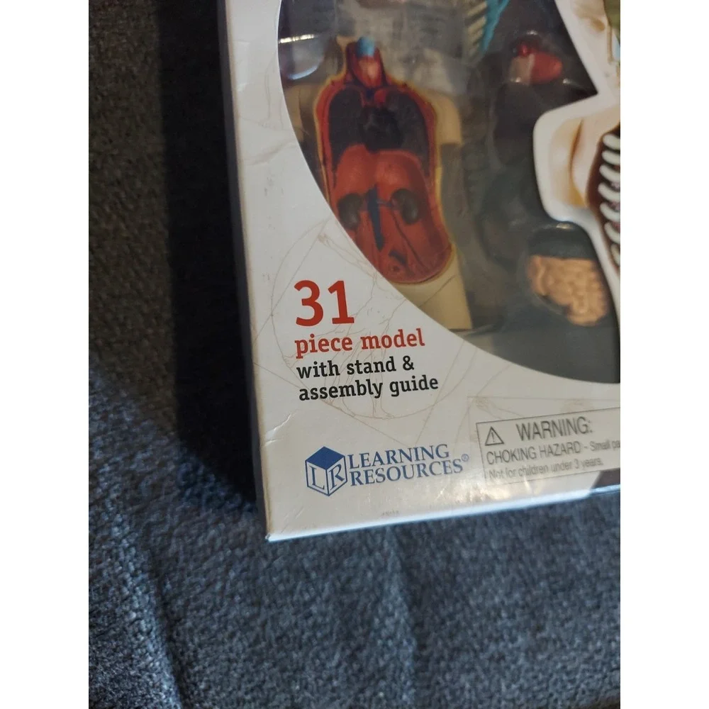 Human Body Learning Resources Educational Anatomy 31-Piece Model Set and‎ Stand